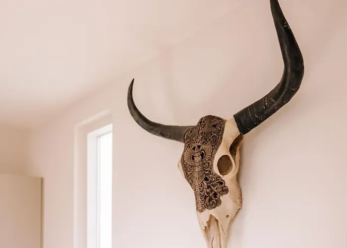 Ceebee - Free Parking 잔드보르트