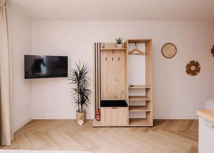 Ceebee - Free Parking 잔드보르트