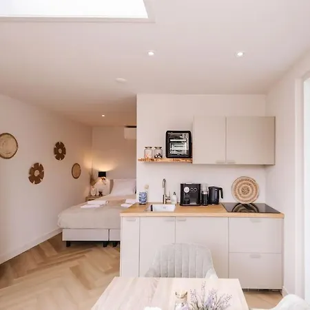 Ceebee - Free Parking Zandvoort