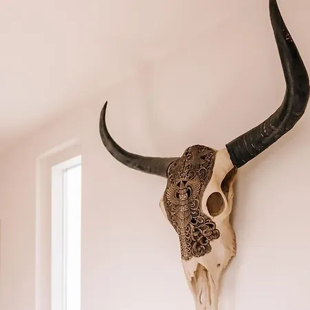 Ceebee - Free Parking Zandvoort